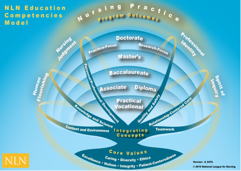 Nursing Practice Outcomes